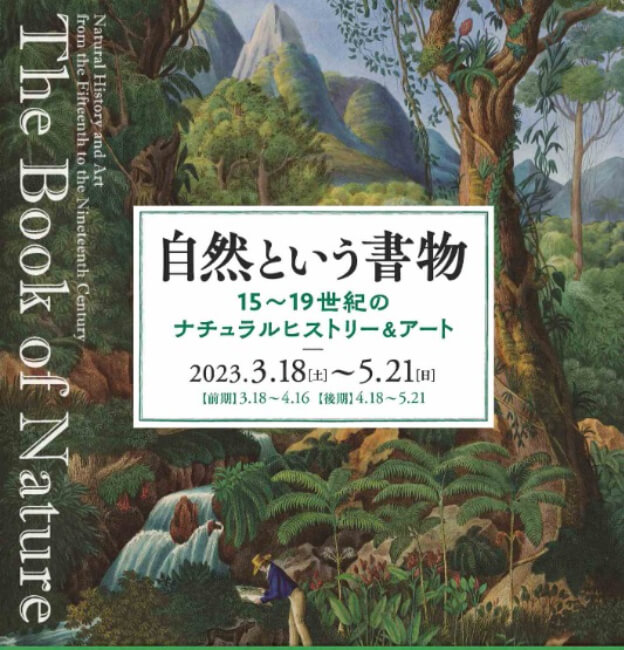 町田市立国際版画美術館「自然という書物」展