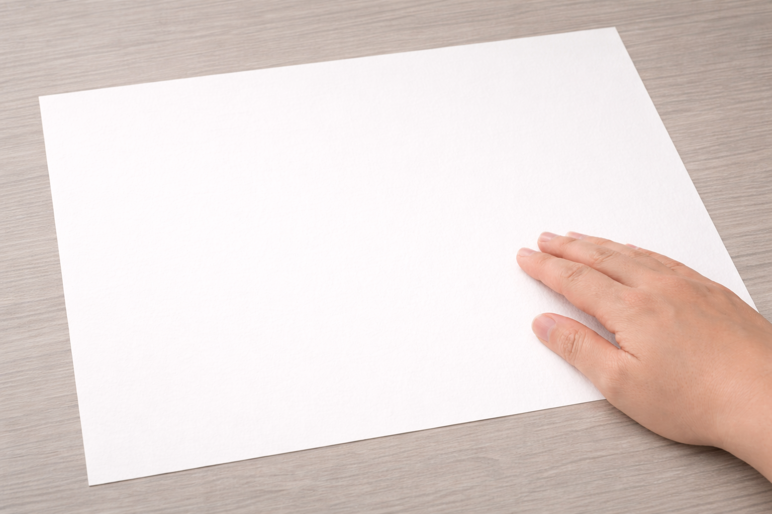 しっとりとした非塗工の<br>上質な質感