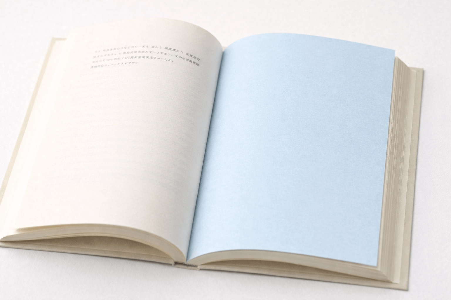 書籍装丁・リーフレットの差し紙