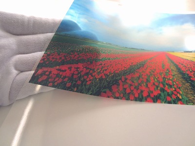 高透明度フィルム