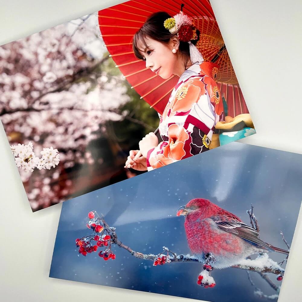 写真プリント・ポートレート印刷の使用例