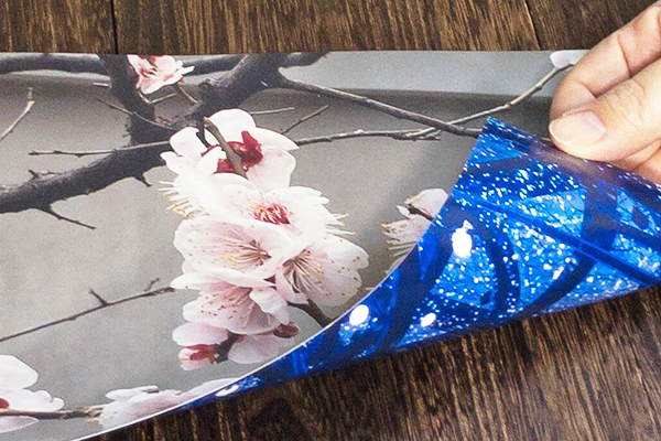 ポートフォリオ・作品集に最適