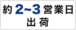 2〜3営業日出荷